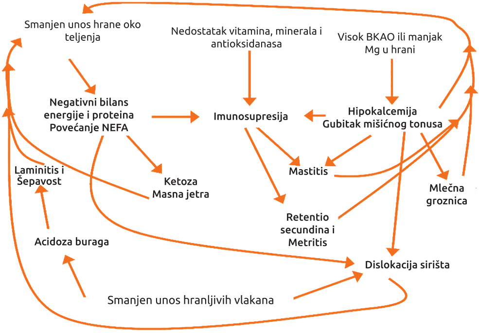 Slika1