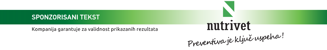 Slika1