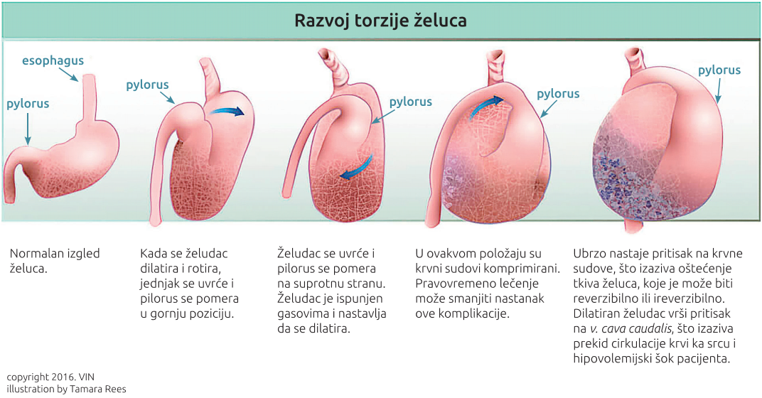 Slika3