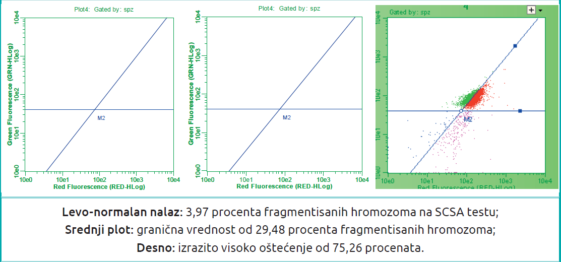 Slika8