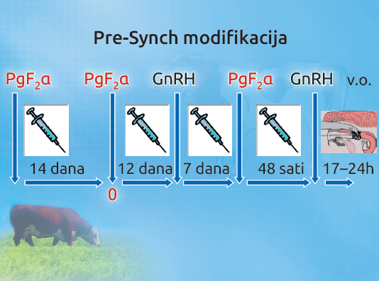 Slika3