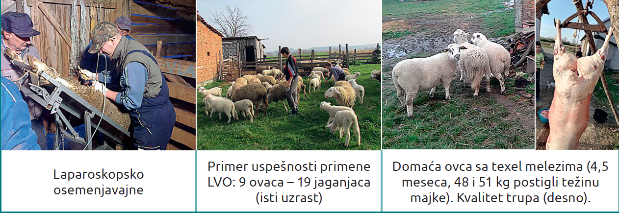Slika3