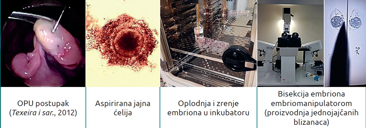 Slika6