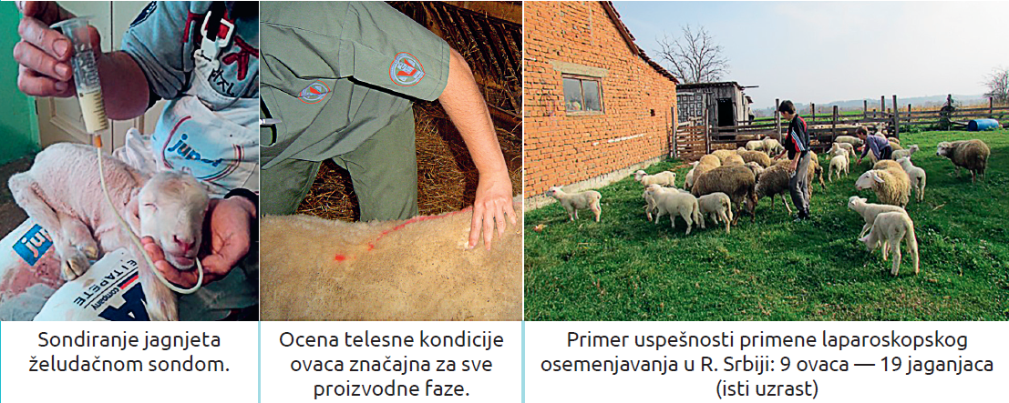 Slika4