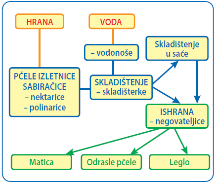 Slika1