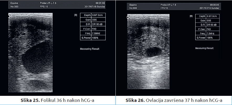 Slika9