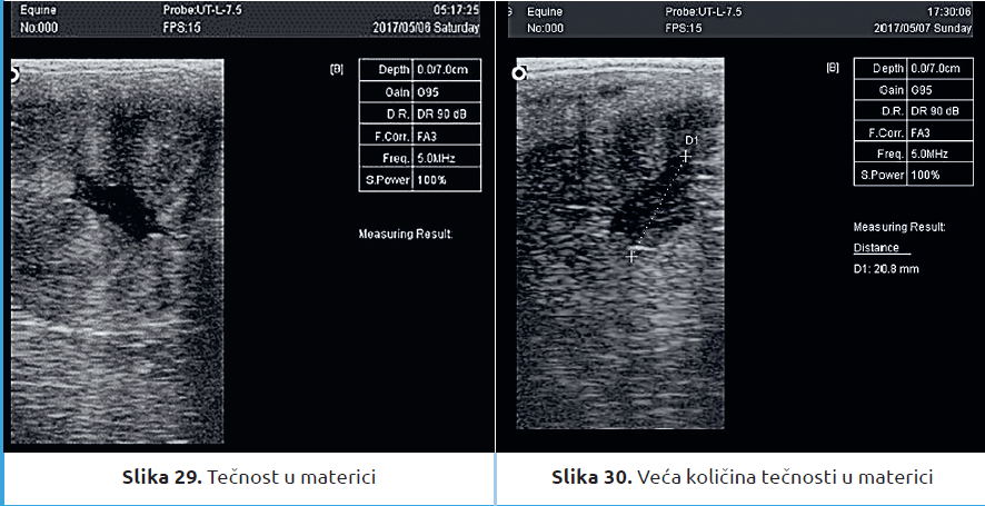 Slika11