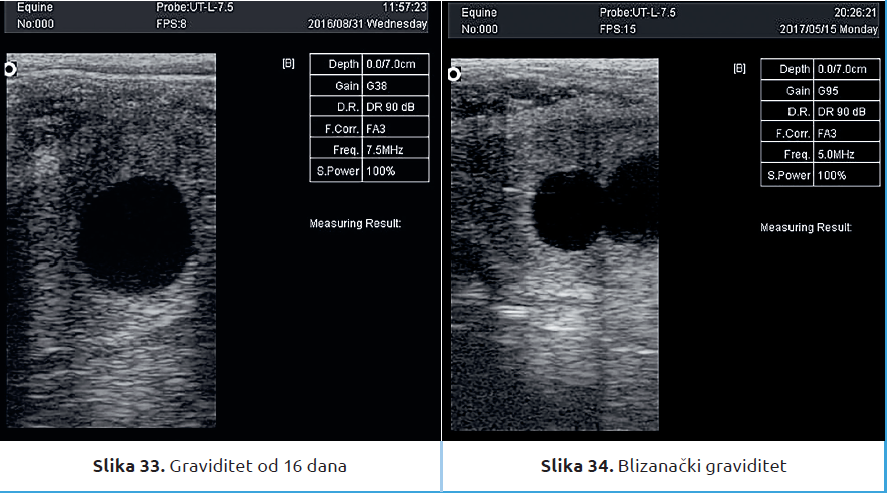 Slika13