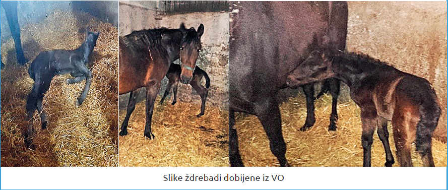 Slika14