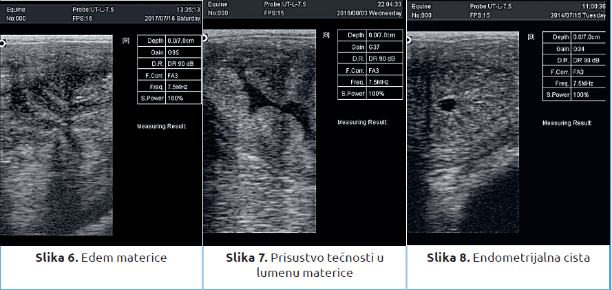 Slika2