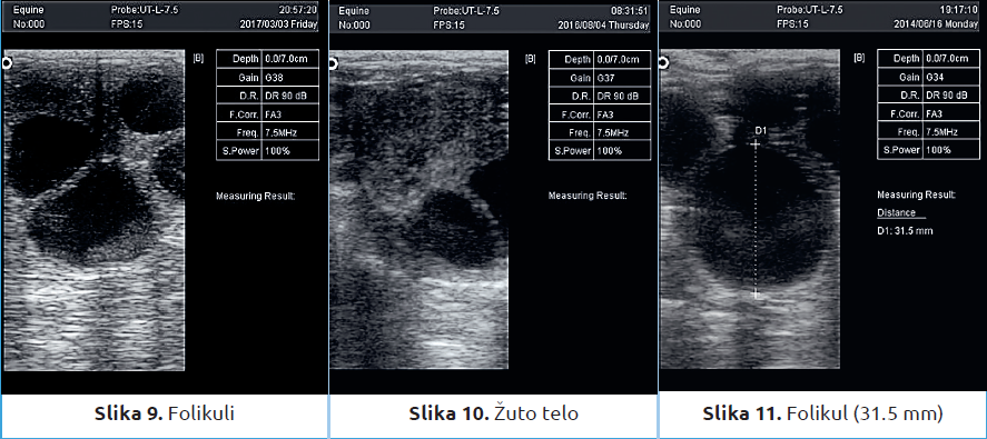 Slika3