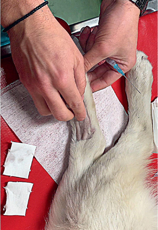 Slika2