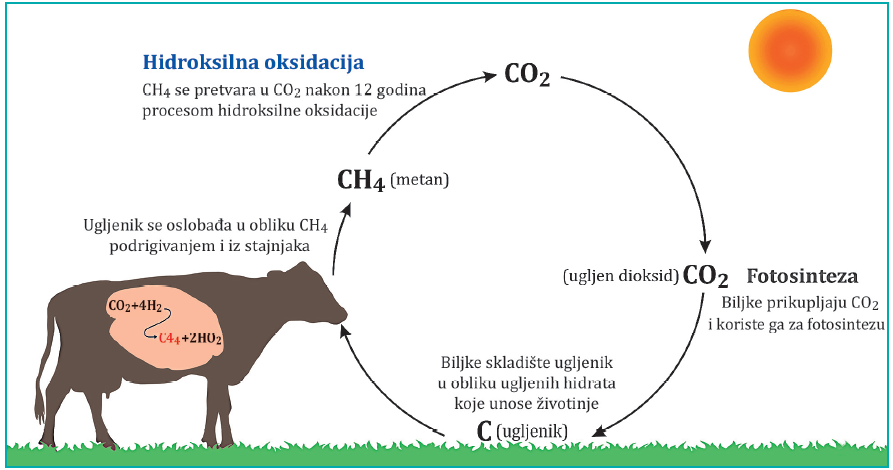Slika2